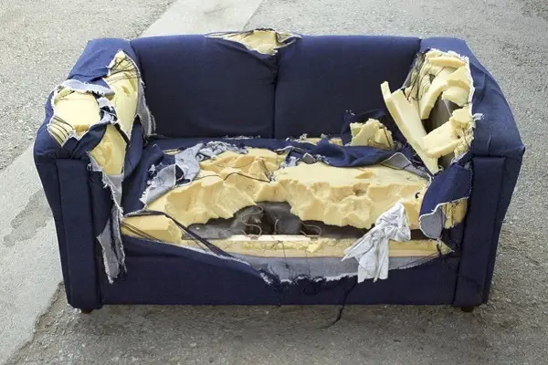 Couch Removal