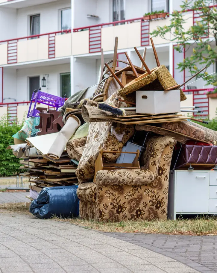 Professional Junk Removal Service
