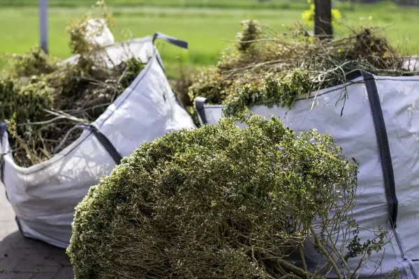 Yard Waste Pickup