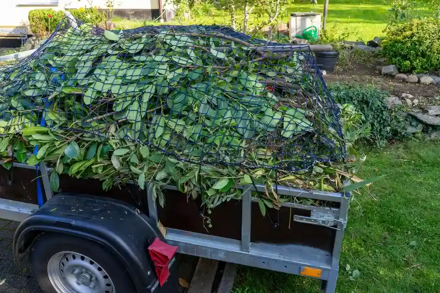 Debris Removal Service in Milan, MI